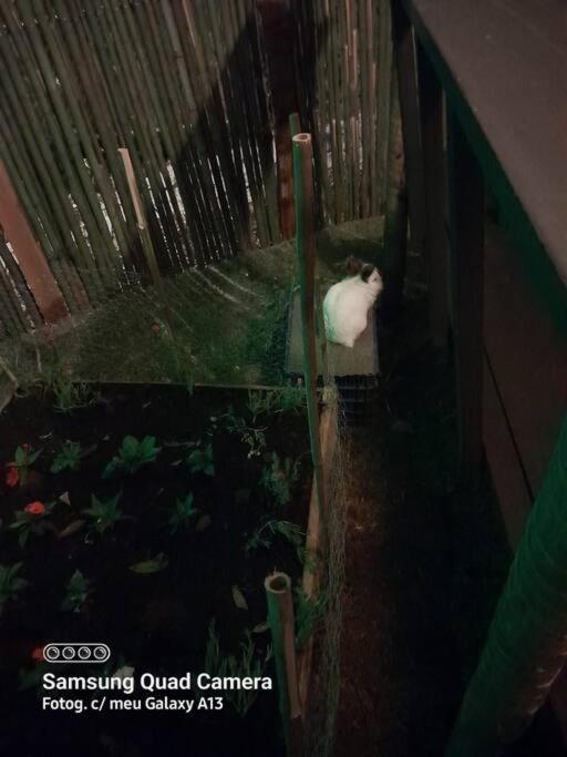 Petite House Com Hidromassagem * Campos do Jordão